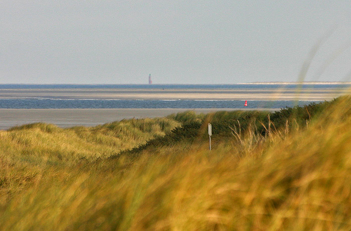 Ostdünen und Leuchtfeuer Hohe Weg