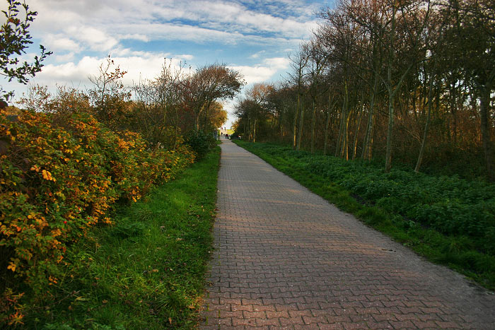 Straße zum Osten