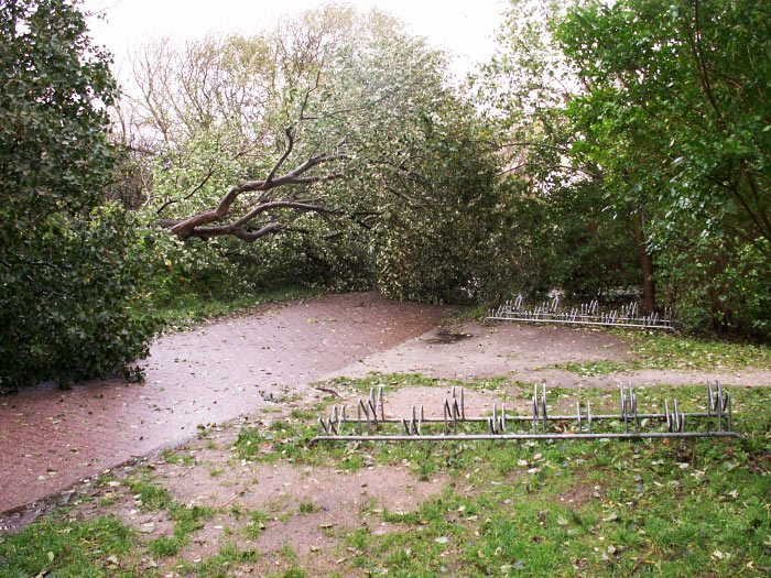 Sturmschäden an der Straße zum Osten