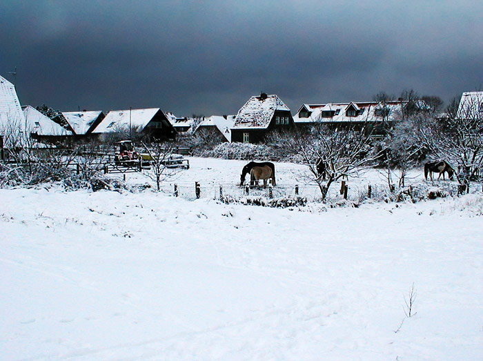 Beim Ponyhof
