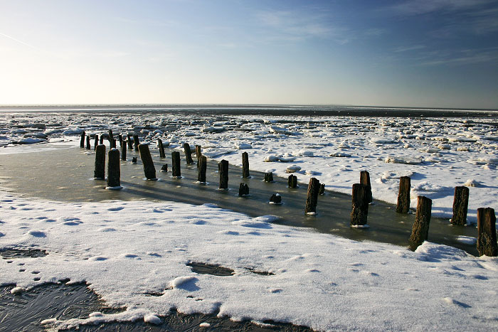 Pfähle am Weststrand