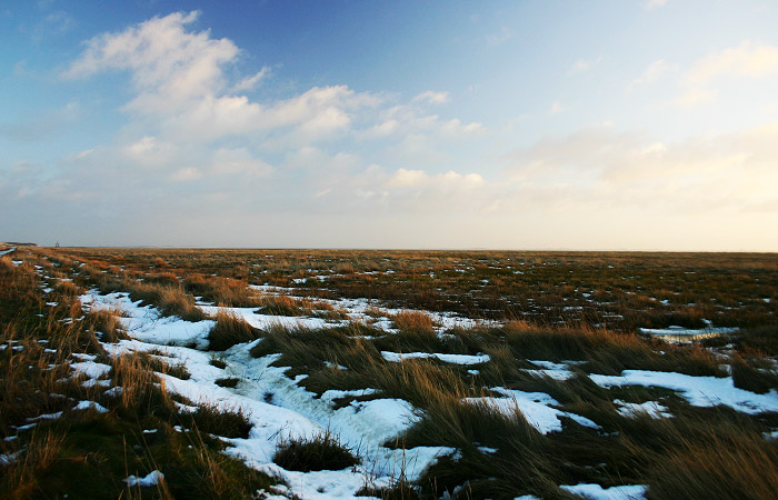 Ostaußengroden mit Schnee
