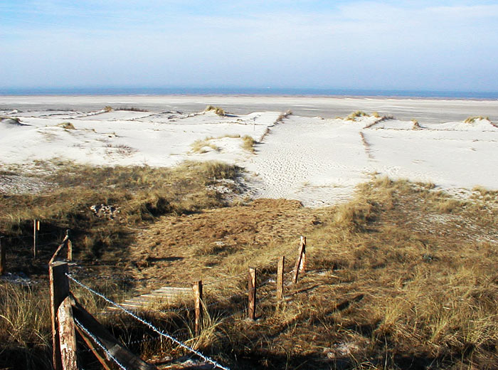 Blick zum Strand