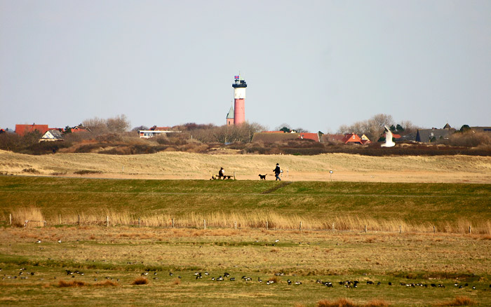 Der Westgrodendeich