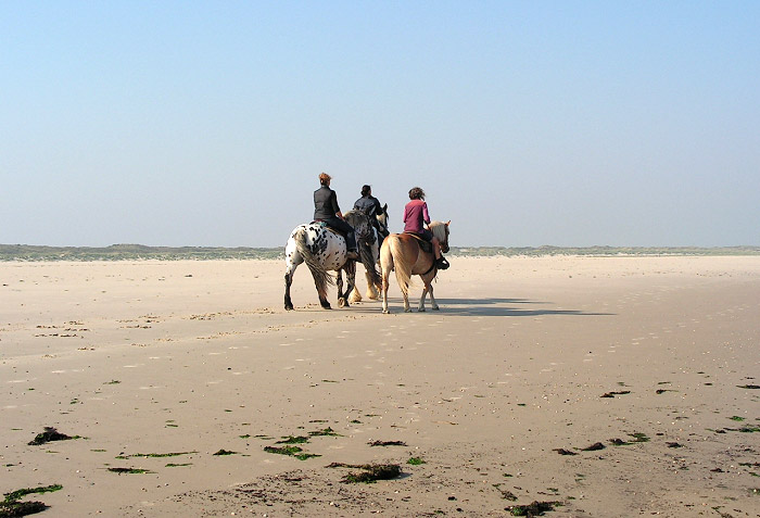 Ausritt am Strand