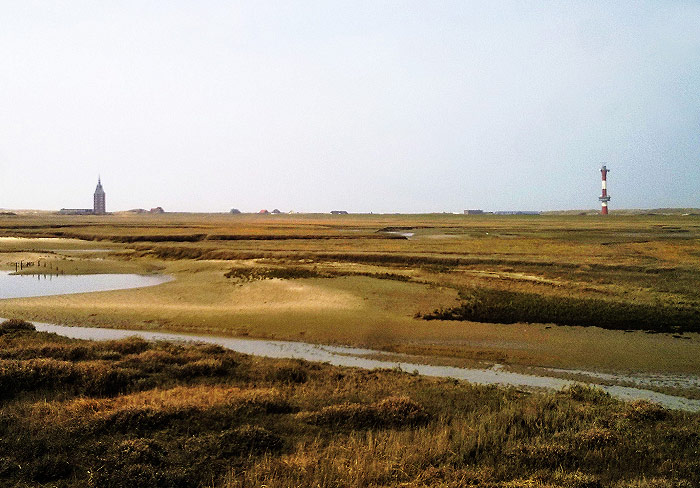 Lagune im Westaußengroden