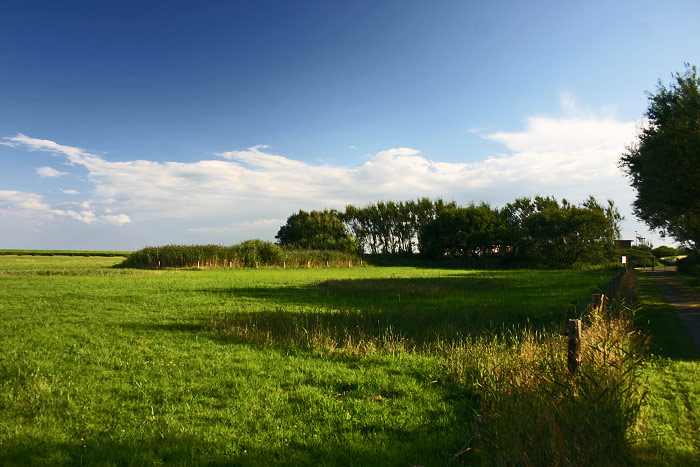 Weide nahe der Kläranlage