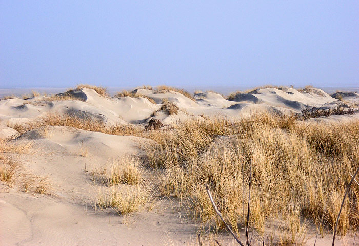 Dünenlandschaft im Osten