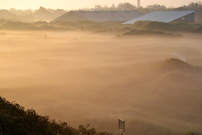 Frühnebel in den Dünen