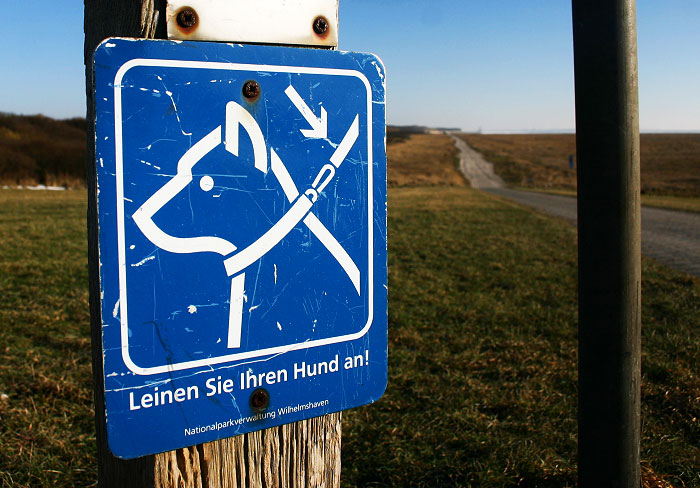 Leinen Sie Ihren Hund an