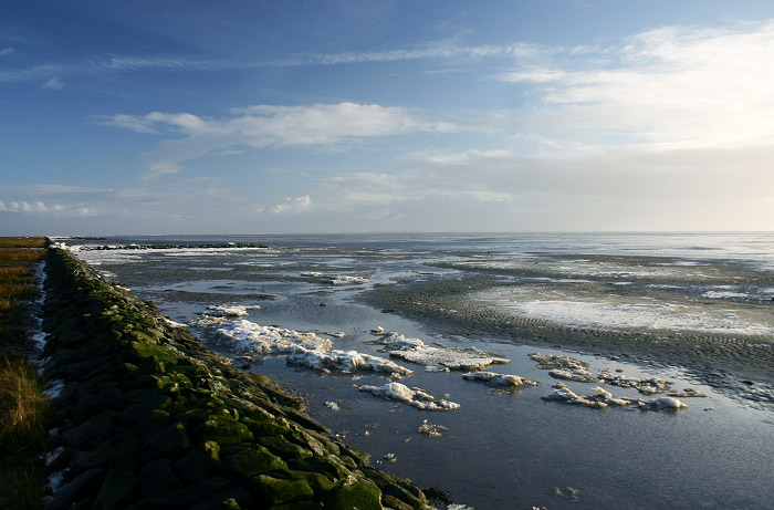 Meereis im Watt