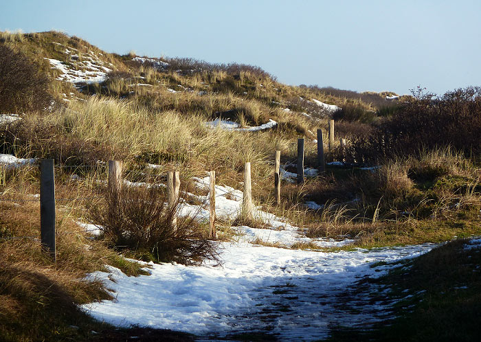 In den Dünen