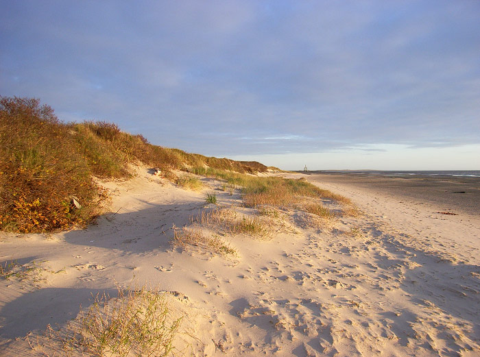 Ostd&uuml;nen in der Nachmittagssonne