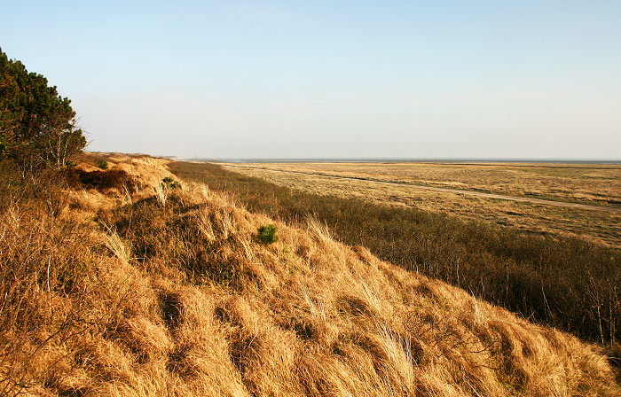 Ostaußengroden