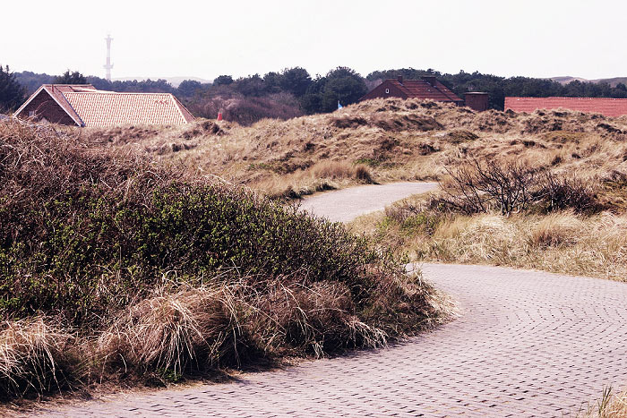 Weg durch die Dünen