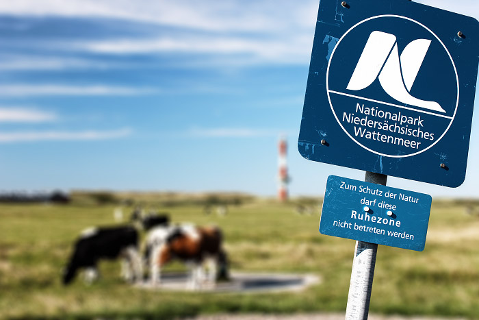 Nationalpark Niedersächsisches Wattenmeer