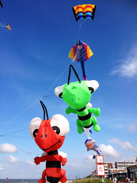 Drachenfest 2012