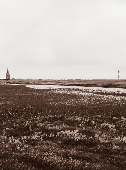 Westaußengroden vom Zug aus gesehen