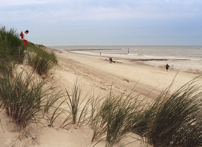 Dünen und Strand im Westen