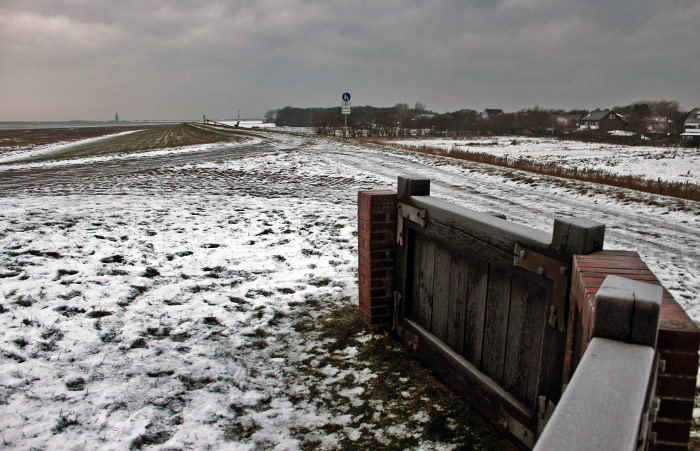 Altes Deichschart auf dem verschneiten Deich