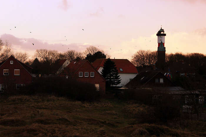 Dünen bei der Siedlerstraße