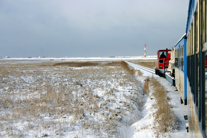 Zugfahrt durchs verschneite Deichvorland