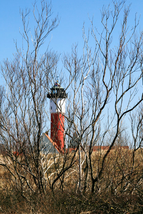 Osterdünen im Frühjahr