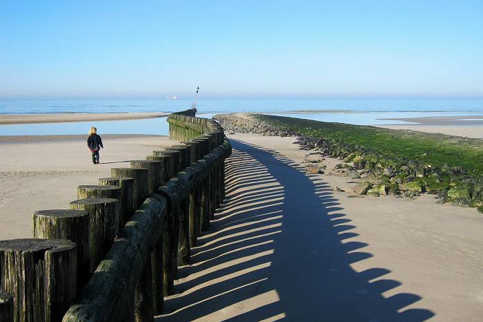 Buhne M am westlichen Hauptstrand