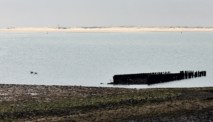 Buhne HA am Wangerooger Westende