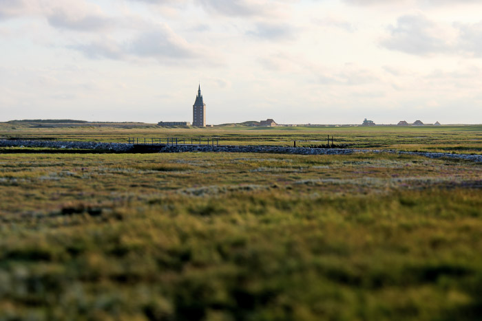 Salzwiesen im Westen