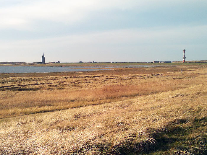Süddeich mit Deichvorland