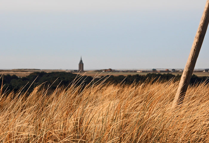 Dünenausblick