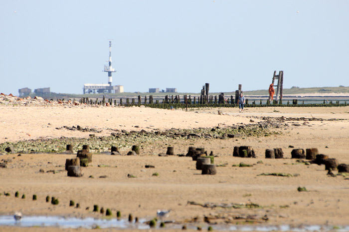 Ostende und Minsener Oog