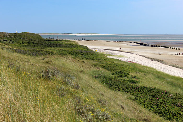 Ostdünen und -strand