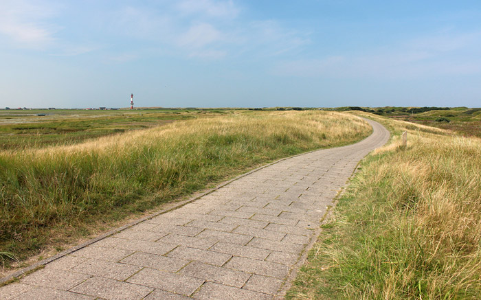Kurze Pause auf dem Süddeich