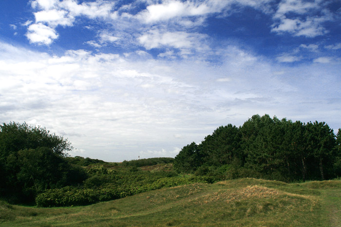 Osterdünen im Spätsommer