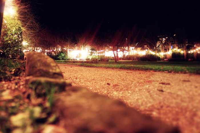 Rosengarten im Dezember