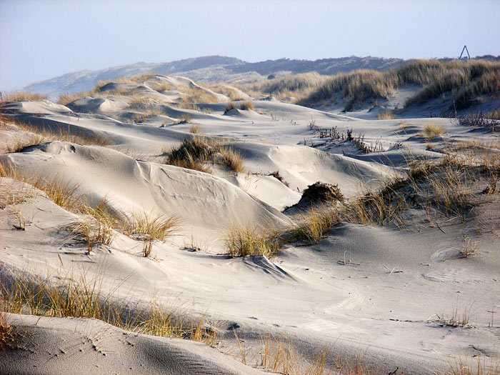 Dünen im Osten