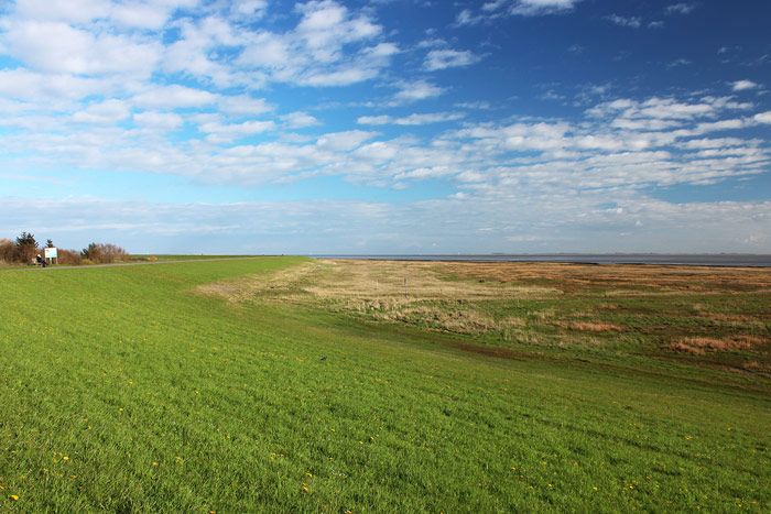Blick auf das Deichvorland und den Ostgrodendeich