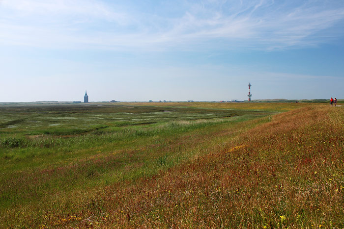 Westgrodendeich im Frühsommer