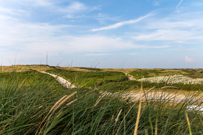 Dünenlandschaft im Westteil der Insel