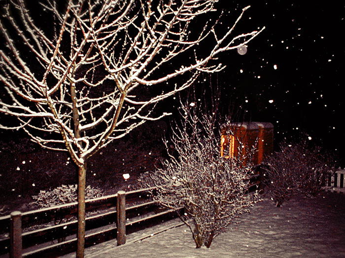 Nächtlicher Schneefall