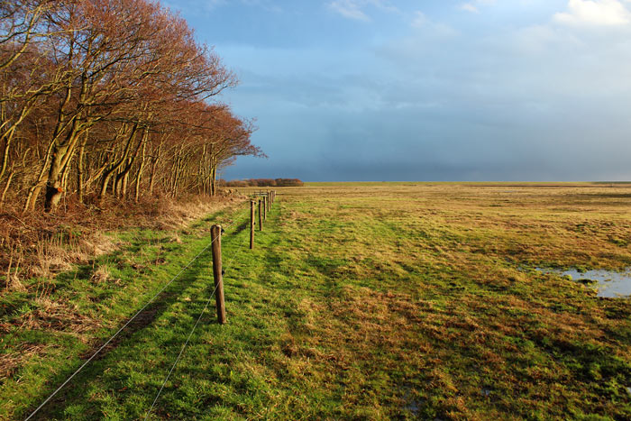 Ostinnengroden