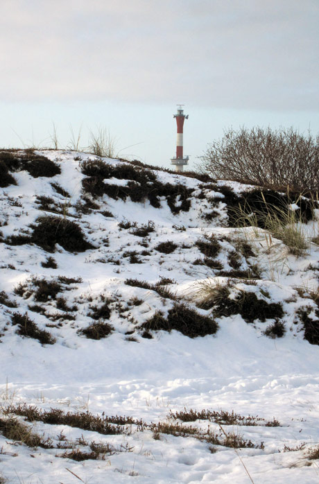Verschneite Heidedünen