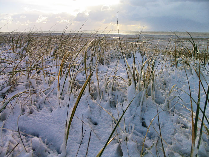 Schnee auf dem Süddeich