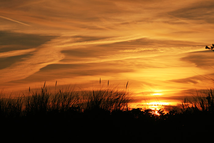 Sonnenuntergang in den Dünen