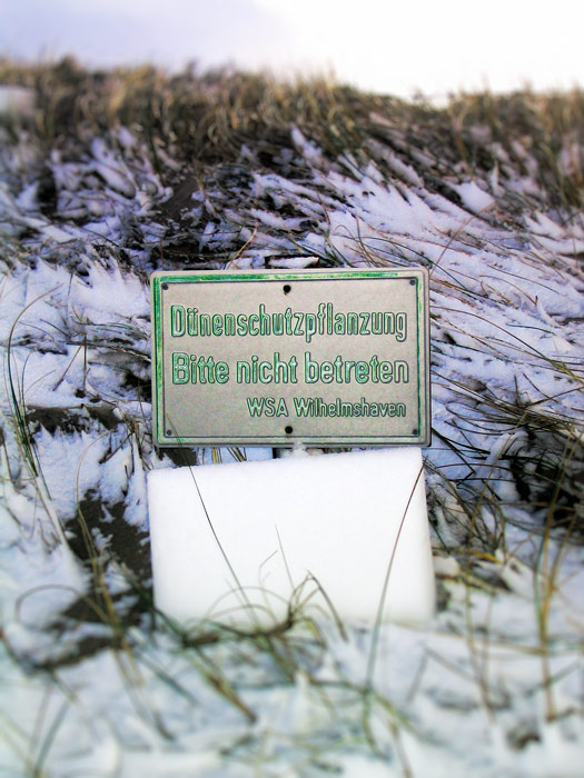 Hinweisschild »Dünenschutzpflanzung«