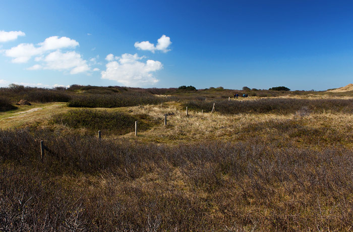 Braundünenlandschaft im Ostteil der Insel