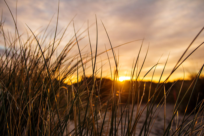 Sonnenuntergang in den Ostdünen