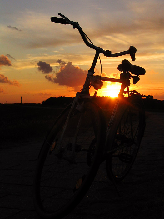Inselfahrrad